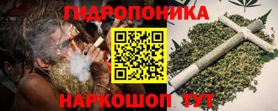 spice Камышлов