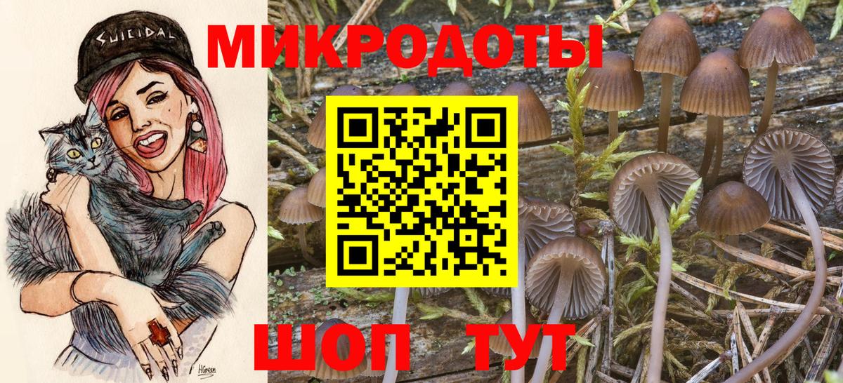 купить наркоту  Псилоцибиновые грибы Magic Shrooms  Галлюциногенные грибы мицелий  Вход с VPN  Кудымкар 